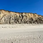 Daire Strandflieder Sylt