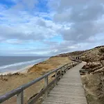 Strandflieder Sylt Daire *