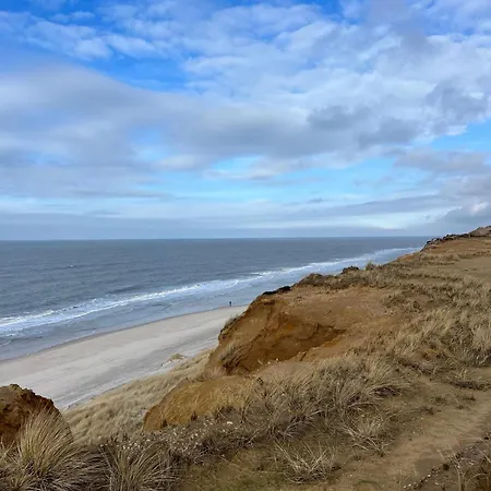Strandflieder Sylt *