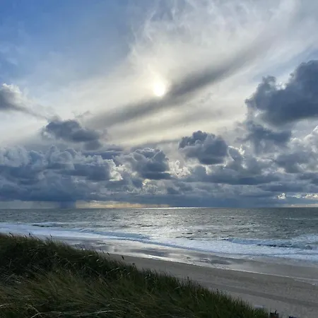 Strandflieder Sylt * ארכסום