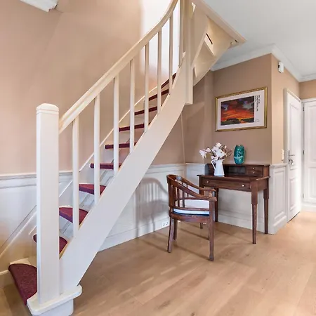 Strandflieder Sylt *