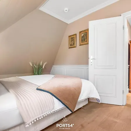 Strandflieder Sylt * ארכסום