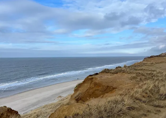 Strandflieder Sylt *