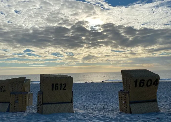 Strandflieder Sylt Archsum