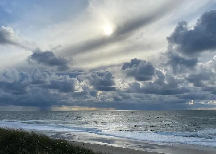 Strandflieder Sylt * Archsum